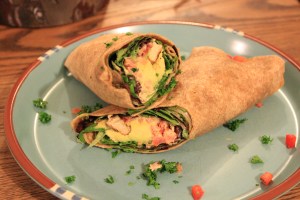 Native-Foods-Twister-Wrap